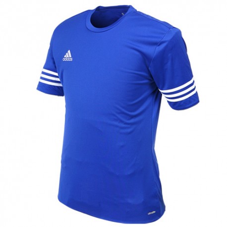 Adidas Entrada 14 r. S